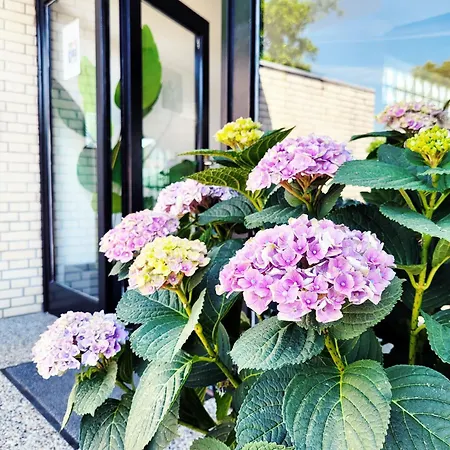 Kostenguenstige & Charmante Ferienunterkunft Ohne Kueche Und In Strandnaehe - Ideal Fuer Kurztrips Oder 1-nacht Aufenthalte - Inklusive Fahrradunterstellplatz Scharbeutz